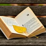 An Open Book With A Leaf Kept In It